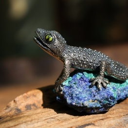 Gecko on blue malachite