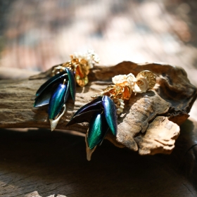 Seashell and beetle wings earrings